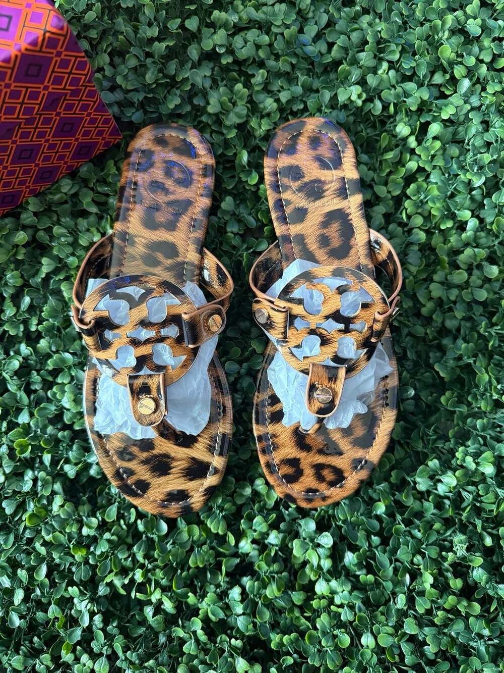 Tory Burch Miller Printed Patent Leopard